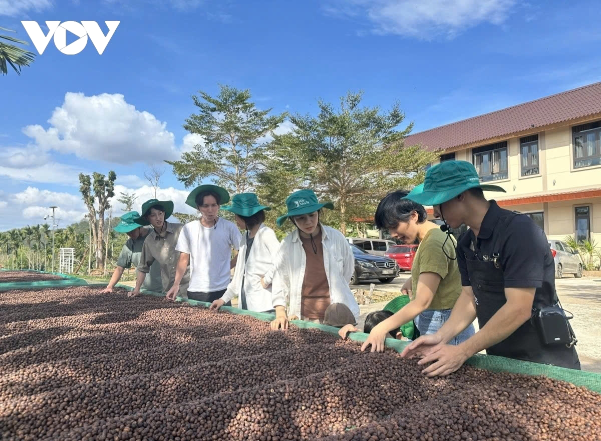 Global Coffee Alliance debuts in Hanoi, promoting cultural connectivity